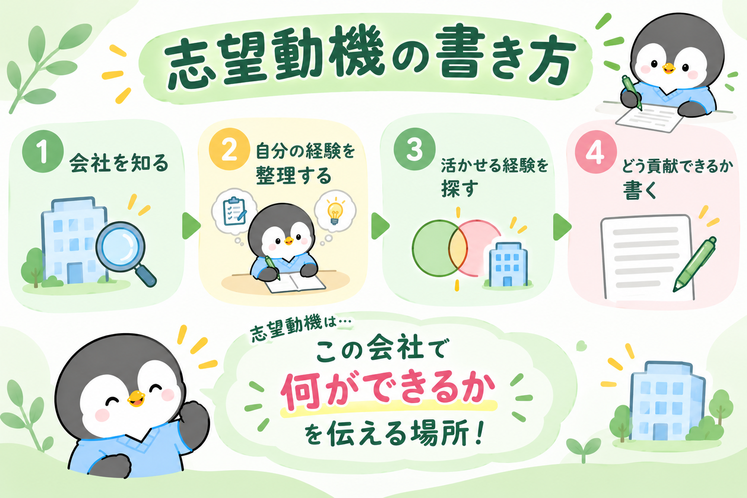 志望動機の書き方の手順を示した図。1会社を知る、2自分の経験を整理する、3活かせる経験を探す、4どう貢献できるか書く。志望動機はこの会社で何ができるかを伝える場所